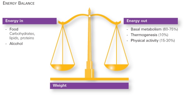 Energy balance