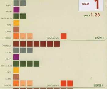 P90X Portion Plan