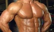 Body Beast