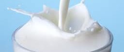 Dairy??