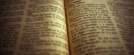 teamRIPPED’s Glossary of Terms