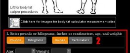Calculate Your Body Fat Percentage